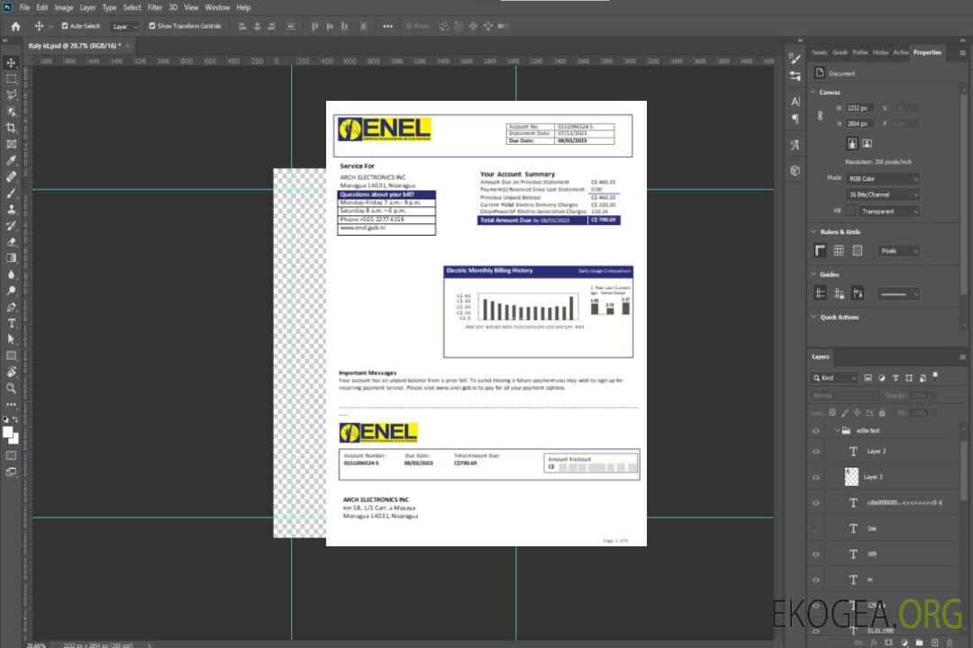 Facture commerciale du service public d'électricité de la Compagnie nicaraguayenne d'électricité (ENEL), SCR template